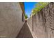 Side yard features a brick-paved walkway between the house and a block wall at 6805 S Sapphire Way, Chandler, AZ 85249