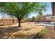 Spacious backyard with large shade tree, shed, covered patio, and fresh landscaping at 9051 E Grandview Dr, Mesa, AZ 85207