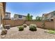 Private backyard featuring desert landscaping, block fencing, and low-water shrubbery at 1153 W Diamondback Dr, Chandler, AZ 85286