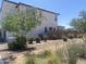 The landscaped backyard is xeriscaped and features a block wall for privacy at 1153 W Diamondback Dr, Chandler, AZ 85286