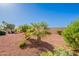Well-kept desert backyard with beautiful landscaping and plenty of space to enjoy the outdoors at 12910 W Junipero Dr, Sun City West, AZ 85375