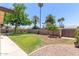 Expansive backyard featuring lush green grass, mature palm trees, and a well-maintained privacy fence at 1953 E Laguna Dr, Tempe, AZ 85282