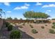 Well-maintained backyard with desert landscaping and a comfortable seating area, offering a private outdoor space at 21934 E Lords Ct, Queen Creek, AZ 85142