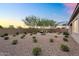 Expansive backyard featuring desert landscaping, mature trees, gravel, and private seating area at 21934 E Lords Ct, Queen Creek, AZ 85142