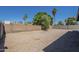 Large backyard featuring a block wall, low maintenance gravel, and mature trees at 3208 N El Dorado Dr, Chandler, AZ 85224