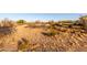 View of the large backyard showcasing natural desert landscaping at 3349 N Ralston Rd, Maricopa, AZ 85139