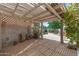 Relaxing backyard with a covered patio, desert landscaping, and mature trees offering shade at 3822 W Flower St, Phoenix, AZ 85019