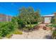 Backyard featuring mature trees, gravel landscaping, and garden beds for a serene outdoor experience at 3822 W Flower St, Phoenix, AZ 85019