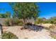 Backyard with large tree, stone pavers, brick planters, and lush landscaping offering tranquility at 3822 W Flower St, Phoenix, AZ 85019