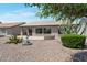 Backyard showing desert landscaping, a covered patio, and privacy with mature plantings at 3925 N 160Th Ave, Goodyear, AZ 85395