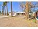 Expansive backyard featuring mature palm trees and desert landscaping at 809 N Gilbert Ave, Casa Grande, AZ 85122