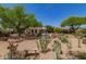 Spacious backyard featuring desert landscaping, mature trees, and a bench, creating a serene outdoor oasis at 9661 E Glencove Cir, Mesa, AZ 85207