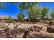 Desert landscaped backyard with cacti, trees, and shrubbery offers an inviting and natural outdoor living space at 9661 E Glencove Cir, Mesa, AZ 85207