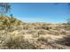 Desert landscape view with cacti and desert plants and mountains in the distance at 9661 E Glencove Cir, Mesa, AZ 85207