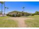 Spacious backyard with covered patio and lush greenery in a desirable neighborhood at 10702 W Salem Dr, Sun City, AZ 85351