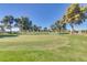 Picturesque golf course with manicured greens and mature trees under a bright blue sky at 10702 W Salem Dr, Sun City, AZ 85351