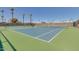 Immaculate tennis court surrounded by lush greenery and palm trees for shade at 10702 W Salem Dr, Sun City, AZ 85351