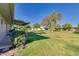A spacious green lawn with mature trees and a covered patio, perfect for outdoor enjoyment at 10702 W Salem Dr, Sun City, AZ 85351