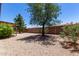 Backyard with gravel, trees and a wall at 11523 E Lindner Ave, Mesa, AZ 85209