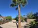 Relaxing backyard with a refreshing pool, framed by desert landscaping and towering palm trees at 1309 W Calle Del Norte --, Chandler, AZ 85224