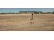 Exterior view of property highlighting the house, mailbox and surrounding landscape at 13217 S Tuthill Rd, Buckeye, AZ 85326