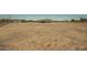 Expansive property with a fenced yard, detached garage, and desert landscape offering privacy and space at 13217 S Tuthill Rd, Buckeye, AZ 85326