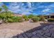 Mature foliage complements the xeriscaped backyard complete with desert landscaping and stone tile at 15936 W Kino Dr, Surprise, AZ 85374