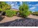 Stone tile detail compliments the xeriscaped backyard featuring mature trees and shrubs at 15936 W Kino Dr, Surprise, AZ 85374