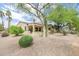 Expansive backyard featuring desert landscaping, mature trees, and a covered patio, ideal for relaxing and entertaining at 19803 N Desert Song Ct, Surprise, AZ 85374