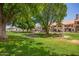 Lush green community area featuring mature trees, picnic tables, and well-maintained landscaping for outdoor enjoyment at 19820 N 13Th Ave # 175, Phoenix, AZ 85027