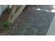 Paver walkway is accented by rock beds and mature desert landscaping, including native trees and cacti at 2068 E Cairo Dr, Tempe, AZ 85282