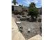 Backyard area featuring gravel, a few plants, and wood materials at 3104 E Broadway Rd # 348, Mesa, AZ 85203