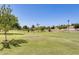 A park landscape filled with trees, green grass, and walking trails at 7253 S Terrace Rd, Tempe, AZ 85283