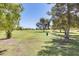 A park landscape filled with trees, green grass, and picnic tables at 7253 S Terrace Rd, Tempe, AZ 85283