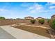 Spacious backyard featuring a grass area, block wall, and concrete patio perfect for outdoor living and entertaining at 11710 W Paradise Dr, El Mirage, AZ 85335
