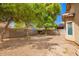 Large backyard featuring mature trees and a blank canvas for outdoor activities at 12355 W Hadley St, Avondale, AZ 85323