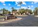 View of the community entrance with lush landscaping and mature palm trees at 1351 N Pleasant Dr # 1012, Chandler, AZ 85225