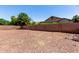 Large backyard enclosed by a tall brick wall, offering privacy and space at 1955 E Grand Canyon Dr, Chandler, AZ 85249