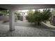 Spacious backyard featuring a geometric patterned patio, mature tree and shed at 20221 N 31St St, Phoenix, AZ 85050