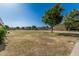 Expansive common area with mature landscaping and walking path at 2041 W Pierson St, Phoenix, AZ 85015