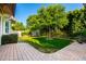 Lush backyard featuring a well-maintained lawn and mature trees, offering a serene outdoor space at 2879 E Austin Dr, Gilbert, AZ 85296