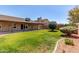 Large backyard with lush grass, shade trees, covered patio, and beautiful desert landscaping at 4110 W Villa Linda Dr, Glendale, AZ 85310
