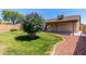 Beautiful backyard with patio, lush green grass, mature shade tree and privacy fence at 4110 W Villa Linda Dr, Glendale, AZ 85310