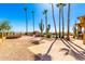 Desert backyard boasts tall palm trees, a cactus, a glimpse of the pool, and stunning mountain views at 8752 E Range Rider Trl, Mesa, AZ 85207
