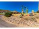 Landscaped front yard with desert vegetation, a stone-covered ground, and fencing providing privacy at 8752 E Range Rider Trl, Mesa, AZ 85207
