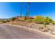 View of a landscaped front yard featuring desert vegetation, cacti, and rock details at 8752 E Range Rider Trl, Mesa, AZ 85207