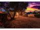 Large backyard with mature tree, offering ample space for recreation and relaxation at 10735 W Bermuda Dr, Avondale, AZ 85392