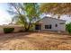 Landscaped backyard with a stucco wall, patio, green trees, and desert landscaping at 10735 W Bermuda Dr, Avondale, AZ 85392
