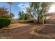Large backyard with lush trees, and green grass, perfect for outdoor activities at 10735 W Bermuda Dr, Avondale, AZ 85392