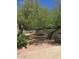 View of the front yard with mature trees providing shade and a xeriscaped landscape with decorative rock at 3401 N 37Th St # 14, Phoenix, AZ 85018
